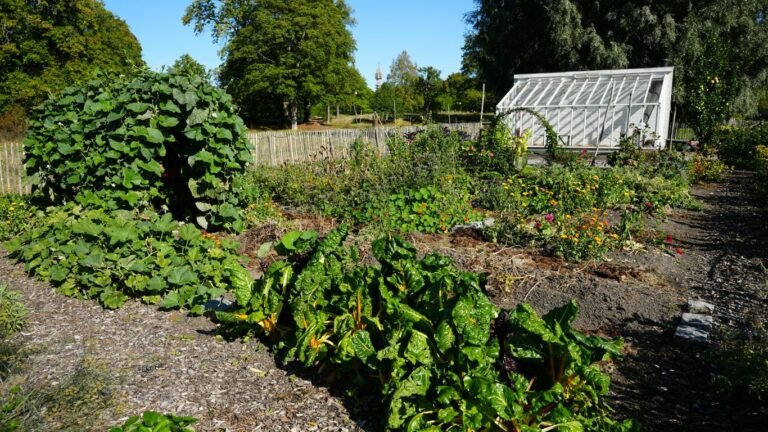 High-Output Crops Perfect for Micro Homesteads