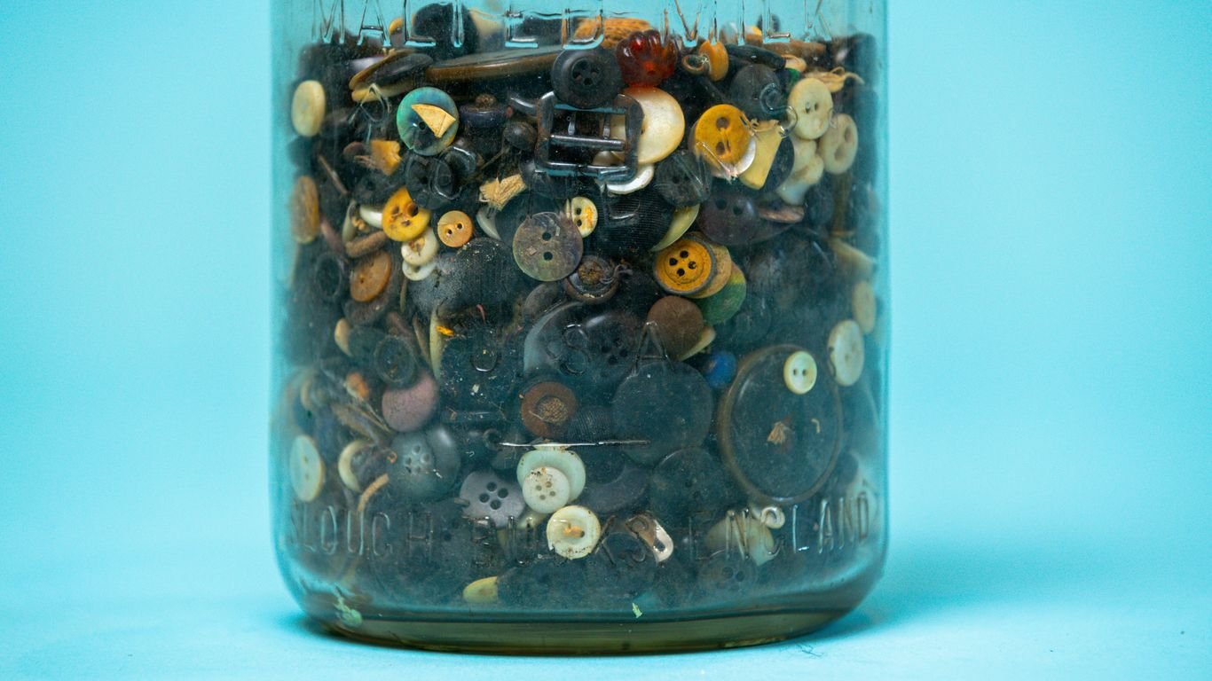 How to Start a Seed Bank at Home